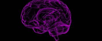 Positrigo has developed a new brain imaging device. 