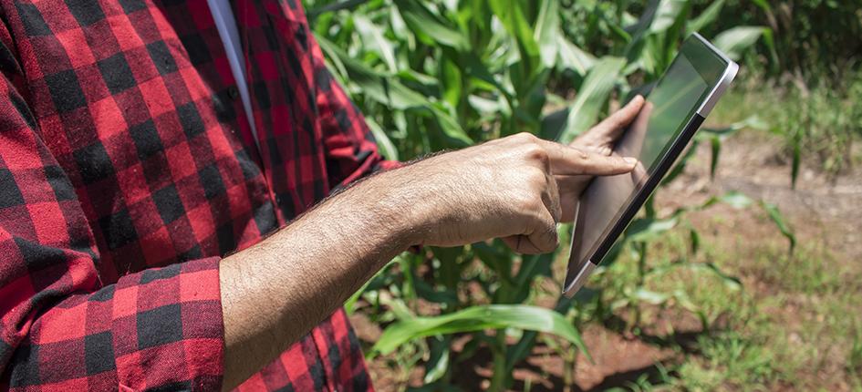 Swiss companies can boost the agriculture business in Brazil with innovative technologies 