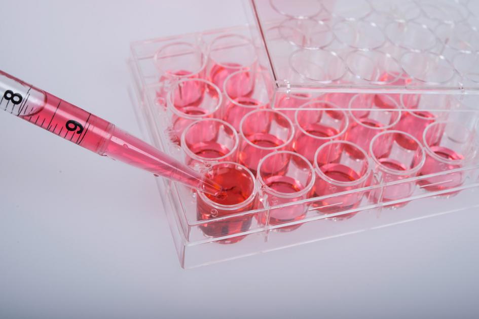 Test biochimici di coltura cellulare. Attrezzature per laboratorio scientifico.