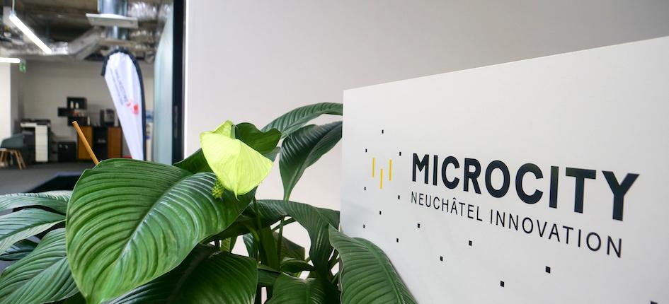 Microcity provides specialized resources in the fields of business consulting, hosting, financing and communication.