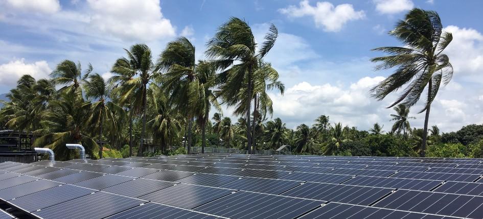 Large solar panels in a rainforest in the Philippines among the palm trees