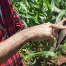 Schweizer Unternehmen können mit innovativen Technologien die Landwirtschaft in Brasilien fördern 