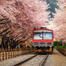Navigating the Tracks: Opportunities in the Korean Railway Industry
