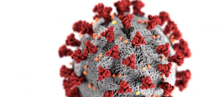 Roivant Sciences gives hope to patients with coronavirus through its developments. Image credit: CDC via Unsplash