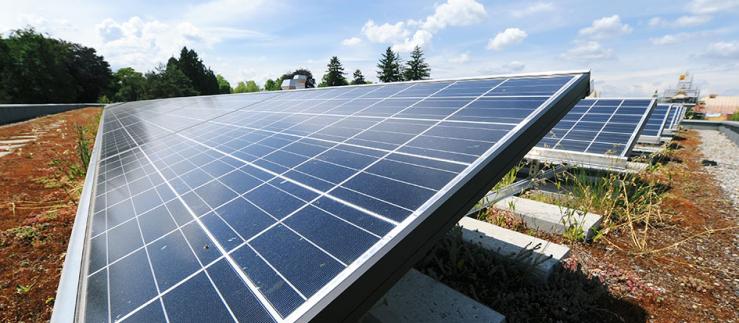 Companies can  offer their own produced solar power via the eNet platform. 