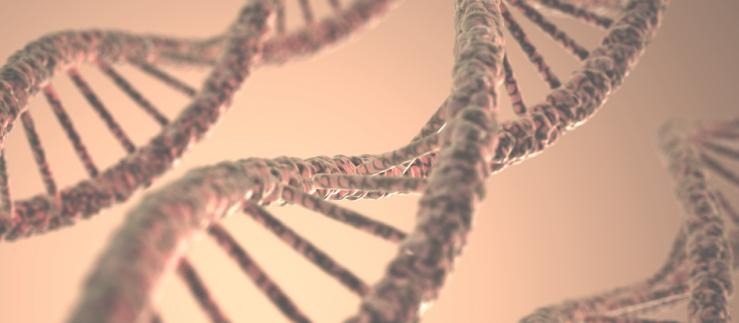 Avec la création de nanocapteurs d'ADN, les recherches menées à l'Université de Fribourg pourraient conduire au développement de tests de diagnostic du cancer plus rapides, plus sûrs, plus simples et plus abordables.