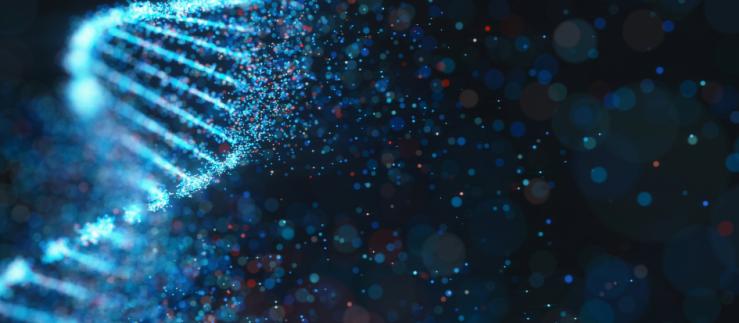 Le projet DNAMIC représente un pas important vers la conservation durable et à long terme des données, en tirant parti de la longévité inhérente et de la nature compacte de l’ADN.