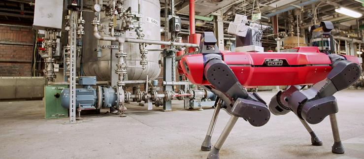 Robots from ANYbotics are  being testet at the BAFS site in Ludwigshafen. 