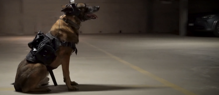 To equip the dog with the appropriate sensing devices, a custom helmet was made using 3D printing.
