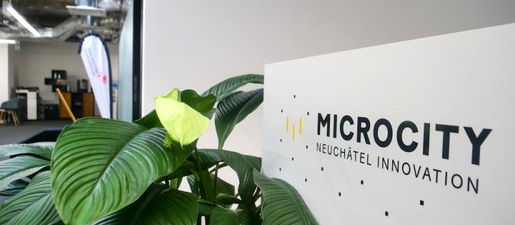 Microcity provides specialized resources in the fields of business consulting, hosting, financing and communication.