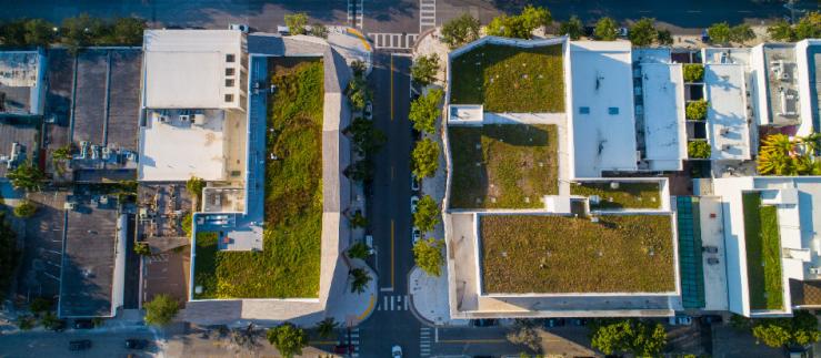 green roof tops