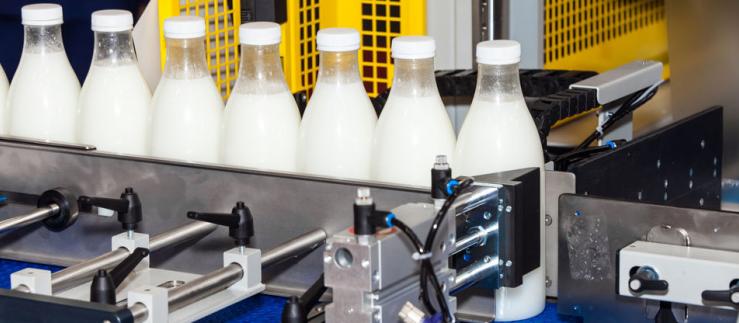 Milk bottles on a production line.
