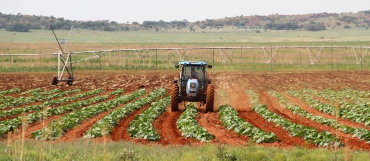 Landwirtschaft in Ostafrika