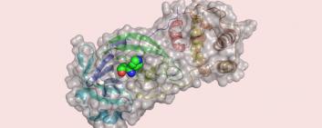 Basler Forschende haben am Computer mehr als 680 Millionen Substanzen an einem wichtigen Protein des Virus, der zentralen Protease, virtuell getestet. Bild: Universität Basel, Computational Pharmacy