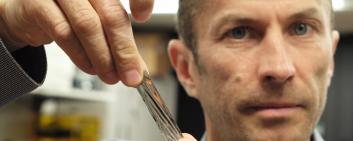 IBM Wissenschaftler Mark Lantz mit Magnetbandstück.