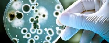Avec l’impressionnante quatrième place de sa société mère Nanobacterie dans le classement des brevets de nanomédecine établi par Marks and Clerk, AlphaOnco Swiss continue à innover dans les traitements contre le cancer grâce à une harmonieuse collaboration franco-suisse.