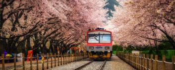 Navigating the Tracks: Opportunities in the Korean Railway Industry