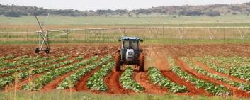 Landwirtschaft in Ostafrika