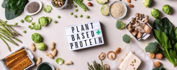 Cartello "proteine a base vegetale" è affiancato da un alimento